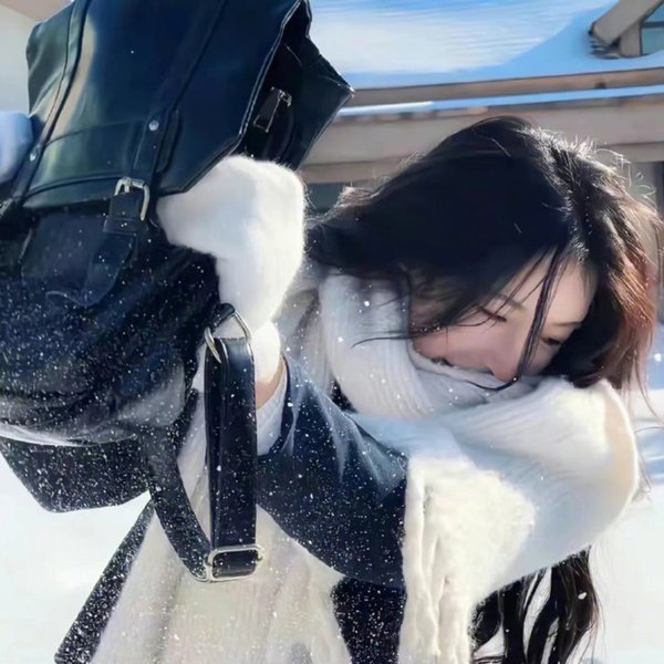 警界传奇
